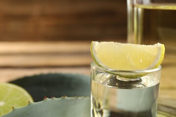 Canvas Print - Tequila shot with lime slice and agave leaves on table, closeup. Space for text