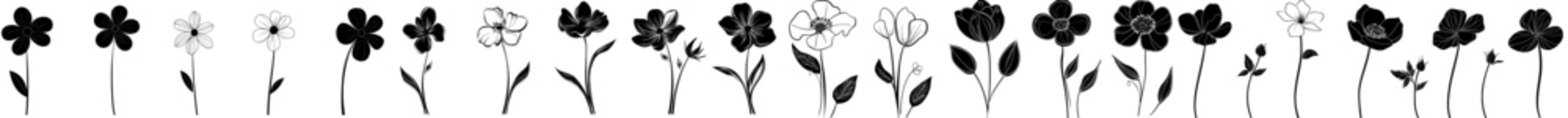 A modern set featuring hand-drawn black flower paintings. Ink drawings of flowers and leaves