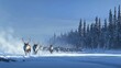 © Santy Hong - A reindeer herd wandering across a snowfield, their breath visible in the crisp winter air