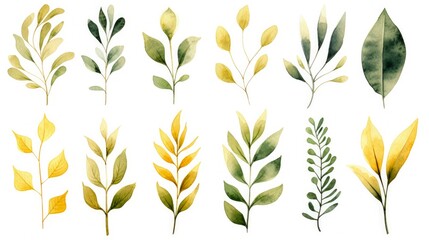 Green and Gold Plants Watercolor Set. Collection of Leafy Plant Elements for Nature-Themed Wedding Invitations. Isolated on White Background