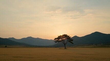 Wall Mural - a serene view of a sunset behind mountains with a single tree in a golden field.