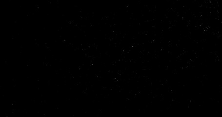 Wall Mural - Natural Organic Dust Particles Floating On Black Background. Dynamic Dust Particles Randomly Float In Space. Shimmering Glittering Dust Particles With Bokeh. Slow motion on Black Background.