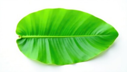 Wall Mural - Banana Leaf Isolated on White Surface with Clipping Path and Reflection, texture, photogenic, simple