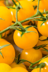 Sticker - Organic Raw Yellow Cherry Tomatoes