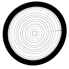 Poster - High Contrast Black and White Tree Ring Texture Illustration