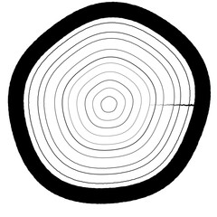 Poster - High Contrast Black and White Tree Ring Texture Illustration