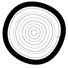 Poster - High Contrast Black and White Tree Ring Texture Illustration