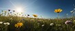 A peaceful representation of a flower filled meadow beneath blue skies channeling essence of tranquility and the joy of nature