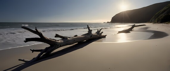 Wall Mural - A peaceful portrayal of driftwood on a tranquil beach celebrating the quiet beauty found in natures simplicity