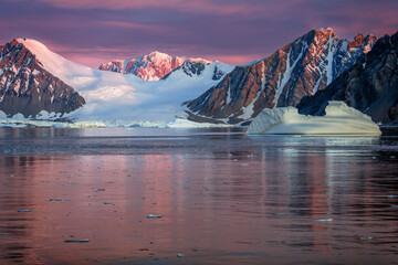 Wall Mural - icebergs of antartica during sunset