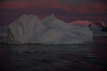 Wall Mural - icebergs of antartica during sunset
