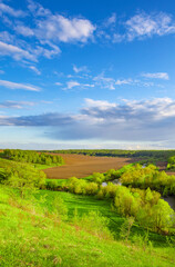 Wall Mural - Beautiful, lush green field with a clear blue sky