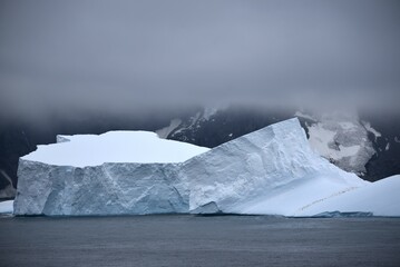 Wall Mural - Penguins climbing huge iceberg in Antarctica