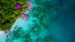 © art_bee8 - Aerial view of a vibrant tropical coastline with lush greenery and clear turquoise waters