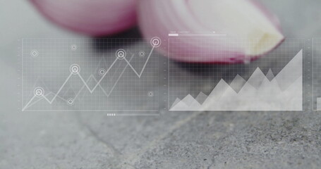 Poster - Graph and bar chart image over close-up of sliced red onions