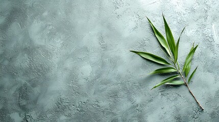 Poster - Closeup shot of a vibrant green leaf against a minimalist textured background  The image showcases the natural beauty and organic details of this botanical element creating a serene