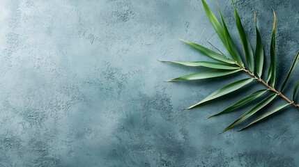 Poster - close up of a vibrant green tropical palm leaf against a simple concrete background with ample copy 