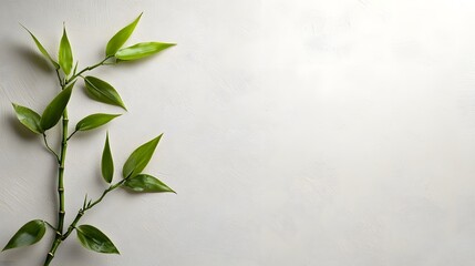 Poster - Closeup of fresh green leaves growing on a slender tree branch with lush vibrant vegetation in a peaceful natural environment  Concept of growth renewal and the serene beauty of the natural world