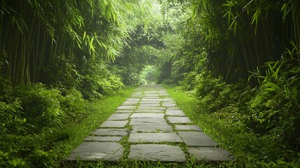 Wall Mural - Winding stone path through an enchanting bamboo forest leading to a lush verdant natural oasis of tranquility and serenity  Serene peaceful scene inviting and contemplation in a verdant