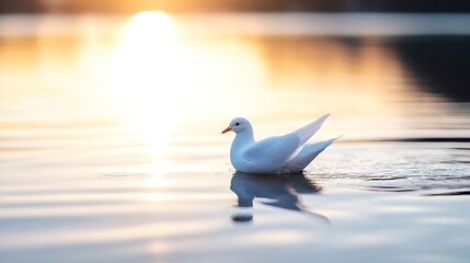 Aufkleber - Serene white duck swimming gracefully on calm water during a stunning sunset : Generative AI