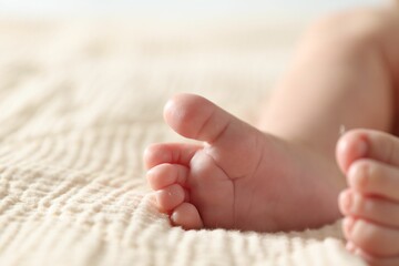 Wall Mural - Little baby lying on bed indoors, closeup. Space for text