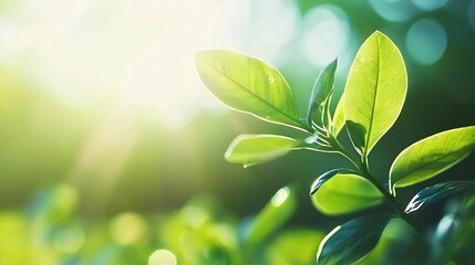 Aufkleber - Vibrant green leaves glowing in sunlight showcasing nature's tranquility and beauty : Generative AI