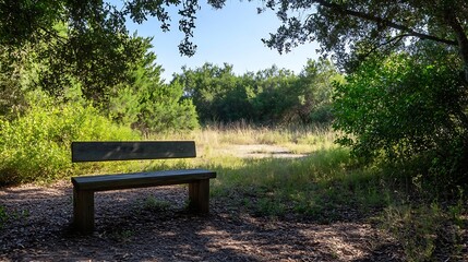 Poster - Peaceful Park Bench Surrounded by Lush Greenery and Trees in a Natural Setting : Generative AI