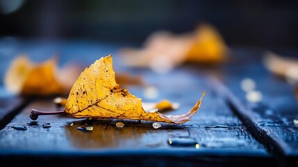 Poster - Close up of vibrant autumn leaves on a wooden surface after rain : Generative AI
