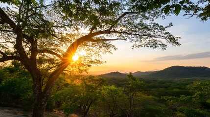 Aufkleber - Beautiful sunset behind a silhouette of trees in a tropical landscape creating a peaceful serene atmosphere : Generative AI