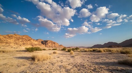 Poster - Stunning desert landscape showcasing dry hills and dramatic clouds : Generative AI