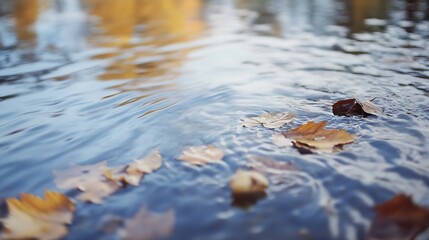 Poster - Autumn Leaves Floated on Calm Water Surface Reflecting Soft Light and Nature : Generative AI
