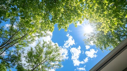 Poster - Bright Sun Shining Through Lush Green Leaves Against a Clear Blue Sky : Generative AI