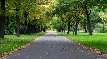 Poster - Picturesque autumn pathway lined with trees showcasing vibrant fall foliage and a peaceful atmosphere : Generative AI