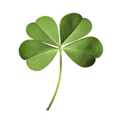 A four-leaf clover isolated on a transparent background. St. Patrick's Day concept.