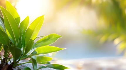 Aufkleber - Closeup of green leaves in sunlight creating a peaceful mood and natural setting for relaxation and serenity : Generative AI