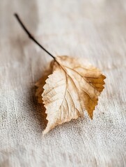Poster - Delicate autumn leaf resting on textured cloth showcasing the beauty of nature in decay : Generative AI