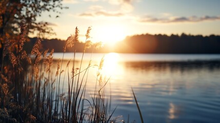 Poster - Golden Sunset Over Calm Lake With Reeds Silhouetted In The Foreground : Generative AI