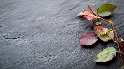 Aufkleber - Colorful Fall Leaves on Dark Slate Surface Capturing Autumn Beauty and Nature's Transition : Generative AI