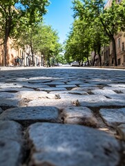 Poster - Charming cobblestone street lined with lush trees under bright sunlight evoking a peaceful village vibe : Generative AI
