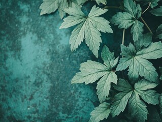 Poster - Fresh Green Leaves in High Contrast Close-Up Against Textured Background