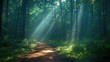 © dedruh - Serene forest path illuminated by sunlight filtering through lush green trees and foliage