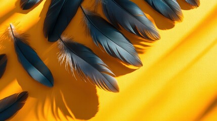 Poster - Dark Blue Feathers on Bright Yellow Background with Shadow Play