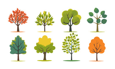 Wall Mural - Set of tree and leaf collection hand drawn flat design vector element. botanical set of bare trees and ones with leaves and lush green