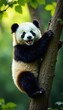 © Katherina - A playful panda playfully hangs from a tree branch , wild, joyful, playful