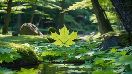 Poster - vibrant summer scene featuring lush green maple leaves reflecting in serene water in a tranquil japa