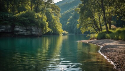 Poster - Tranquil Lakeside Scene Surrounded By Lush Greenery And Reflective Water Under Soft Light In A Serene Natural Setting