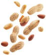 © phive2015 - Peeled, unpeeled and whole shell peanuts