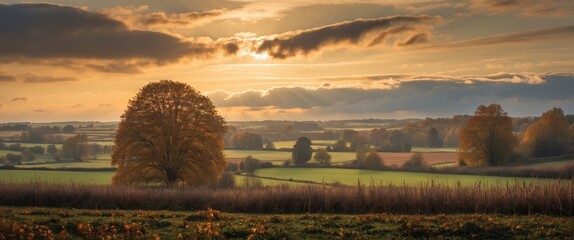 Poster - Serene Autumn Evening Landscape with Dramatic Clouds and Golden Reeds Under Soft Sunset Light in Rural Setting
