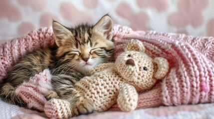 Canvas Print - Adorable sleeping kitten nestled in a cozy blanket with a handmade teddy bear, creating a warm and peaceful atmosphere