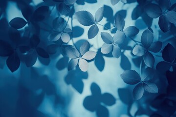 Poster - Blue leaves, foliage, shadows, nature background.